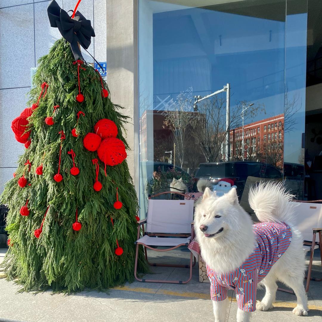 我一定会去拉萨