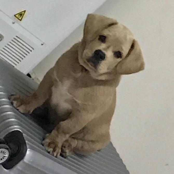 物宝