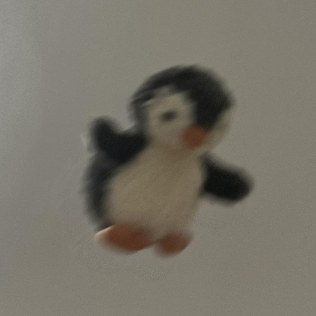 一只企鹅🐧