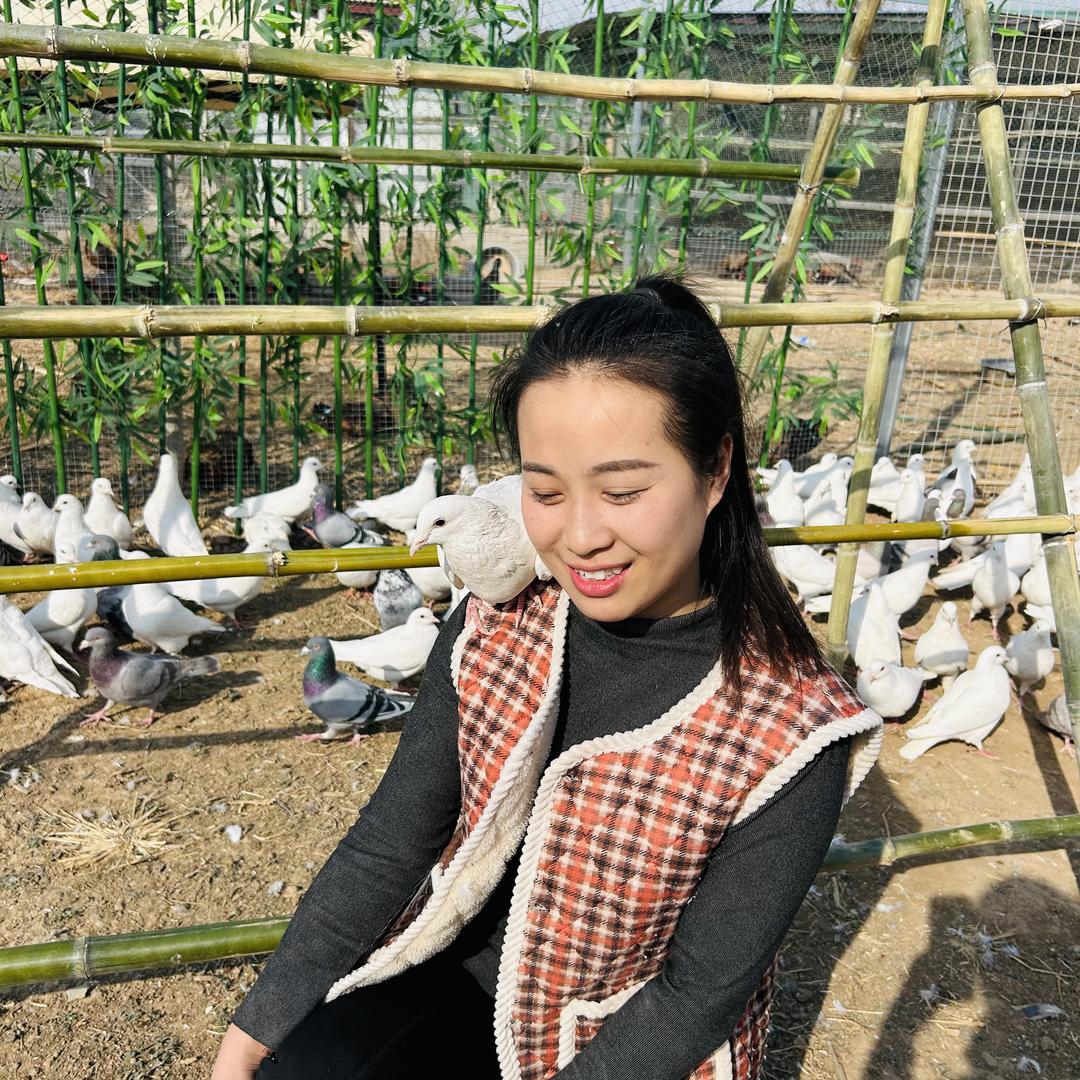 小星家农产品