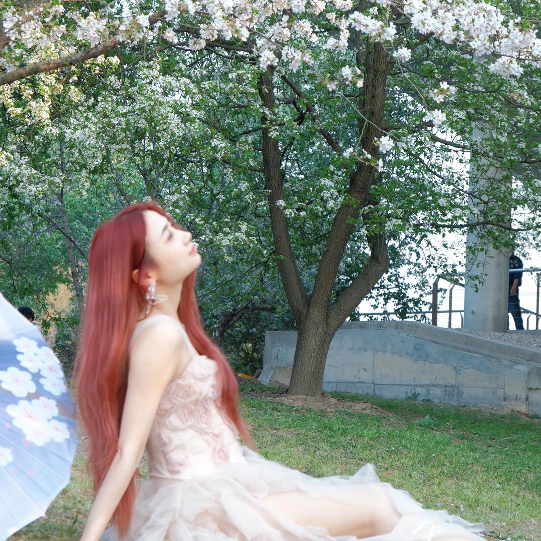 Krystine🦋(沉淀版)