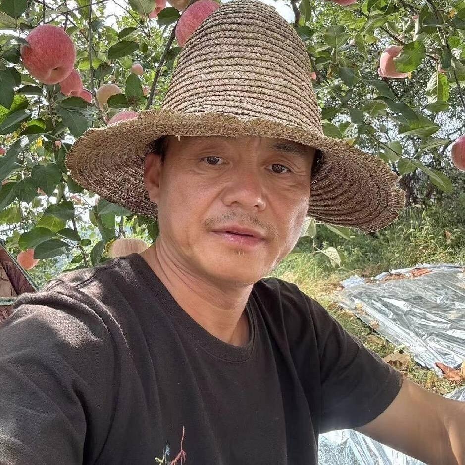 菲果茵-洛川苹果