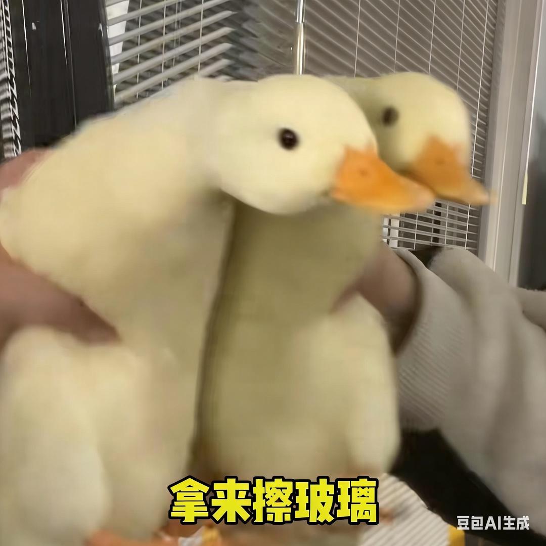 冲鸭
