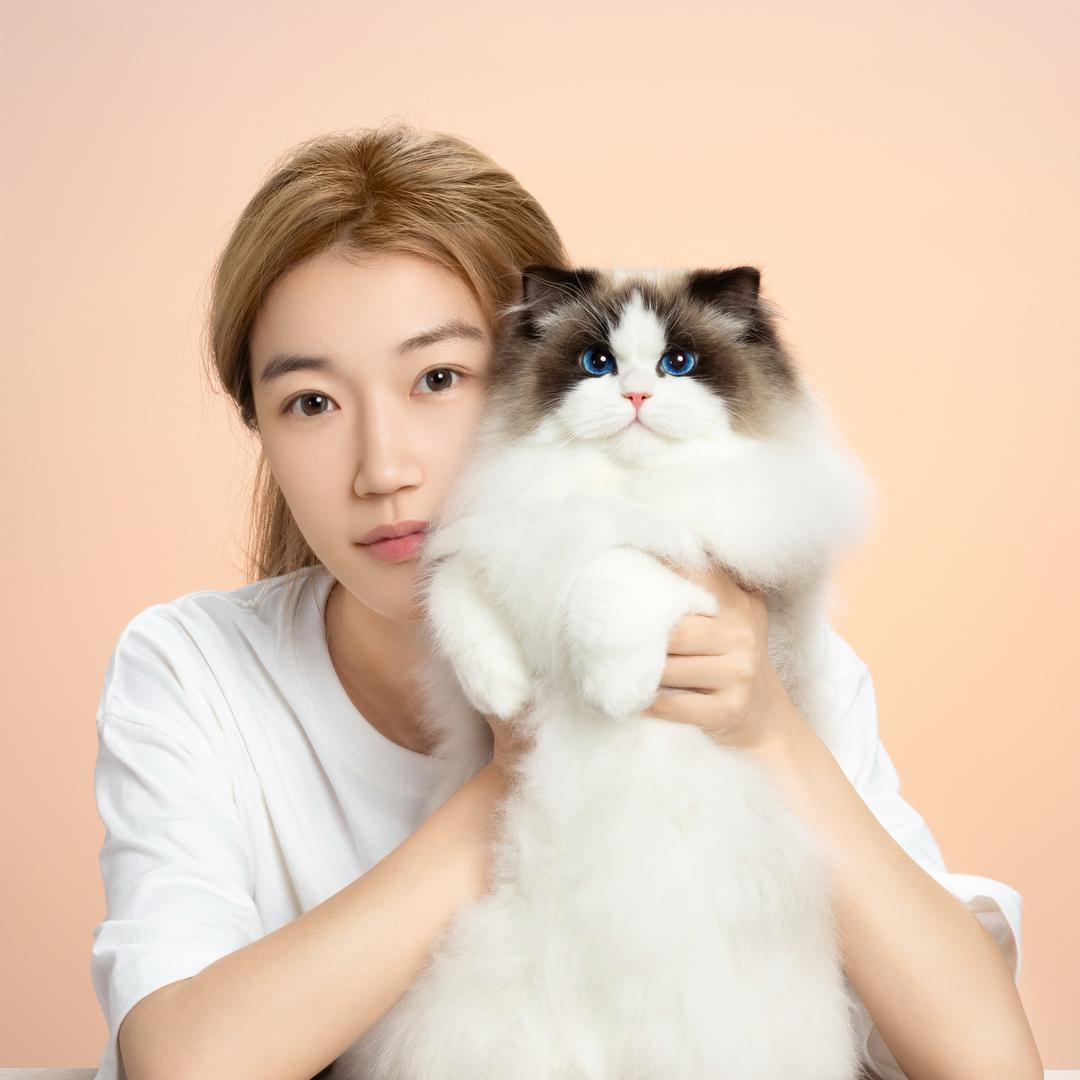 哈宝家来啦(直播号)