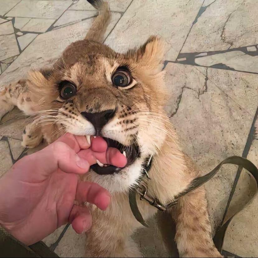 𝐣𝐚𝐬𝐦𝐢𝐧𝐞