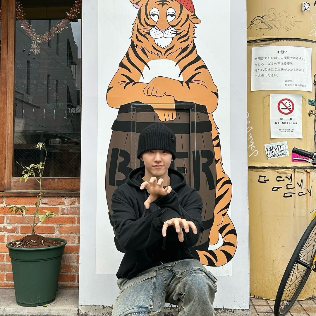 南杨州流浪女🐯