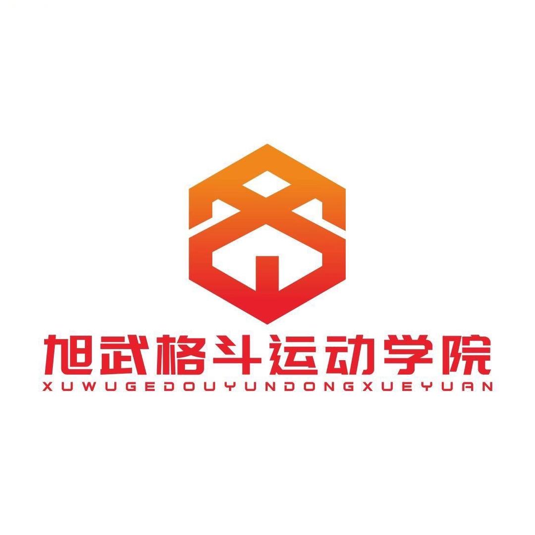 旭武综合格斗职业队