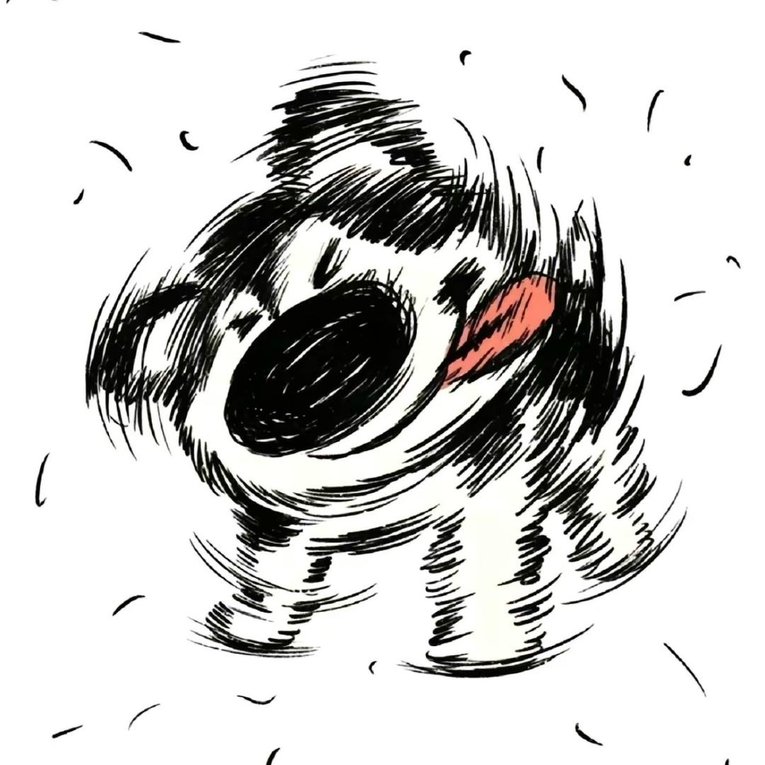 哦哦.大王
