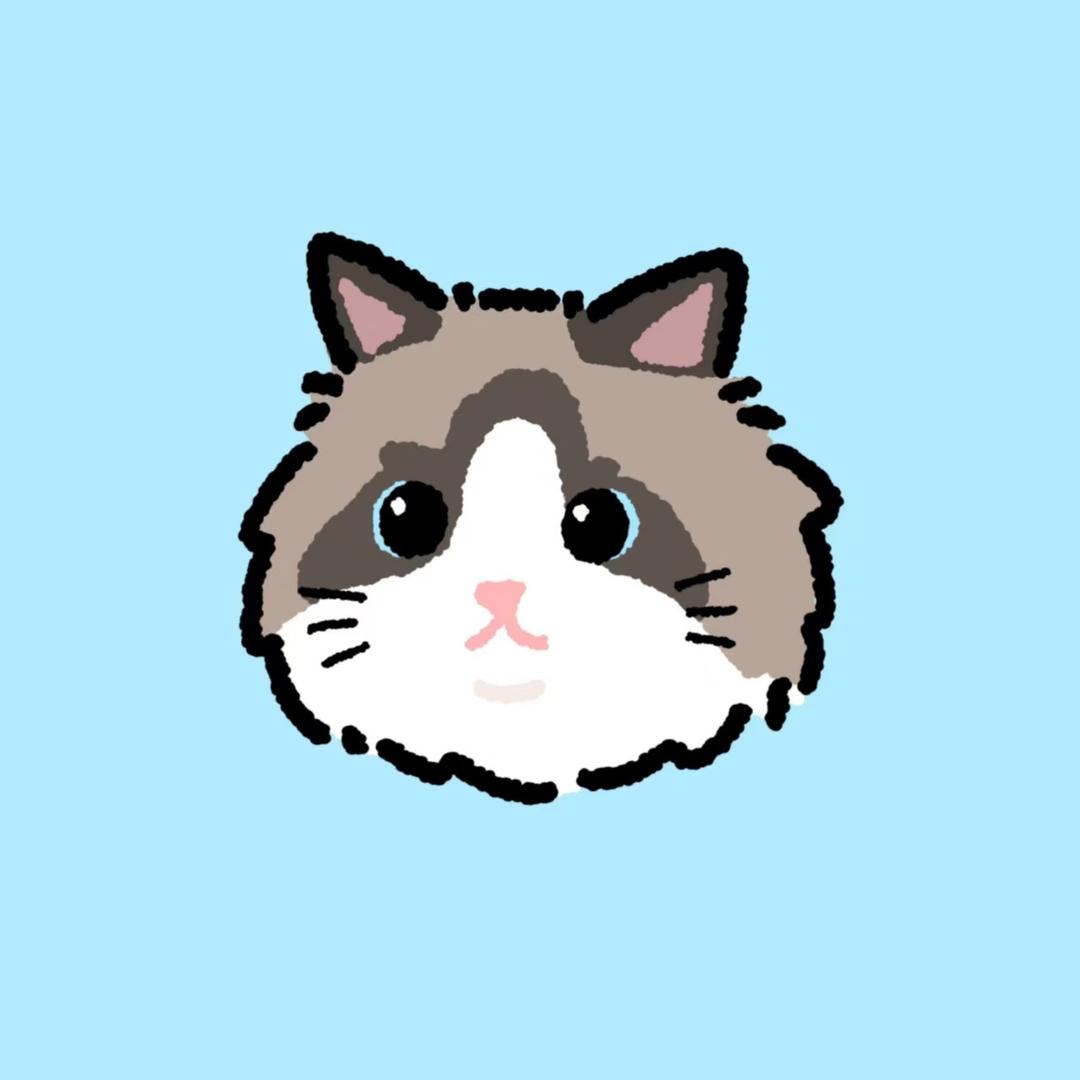 ilovecats13