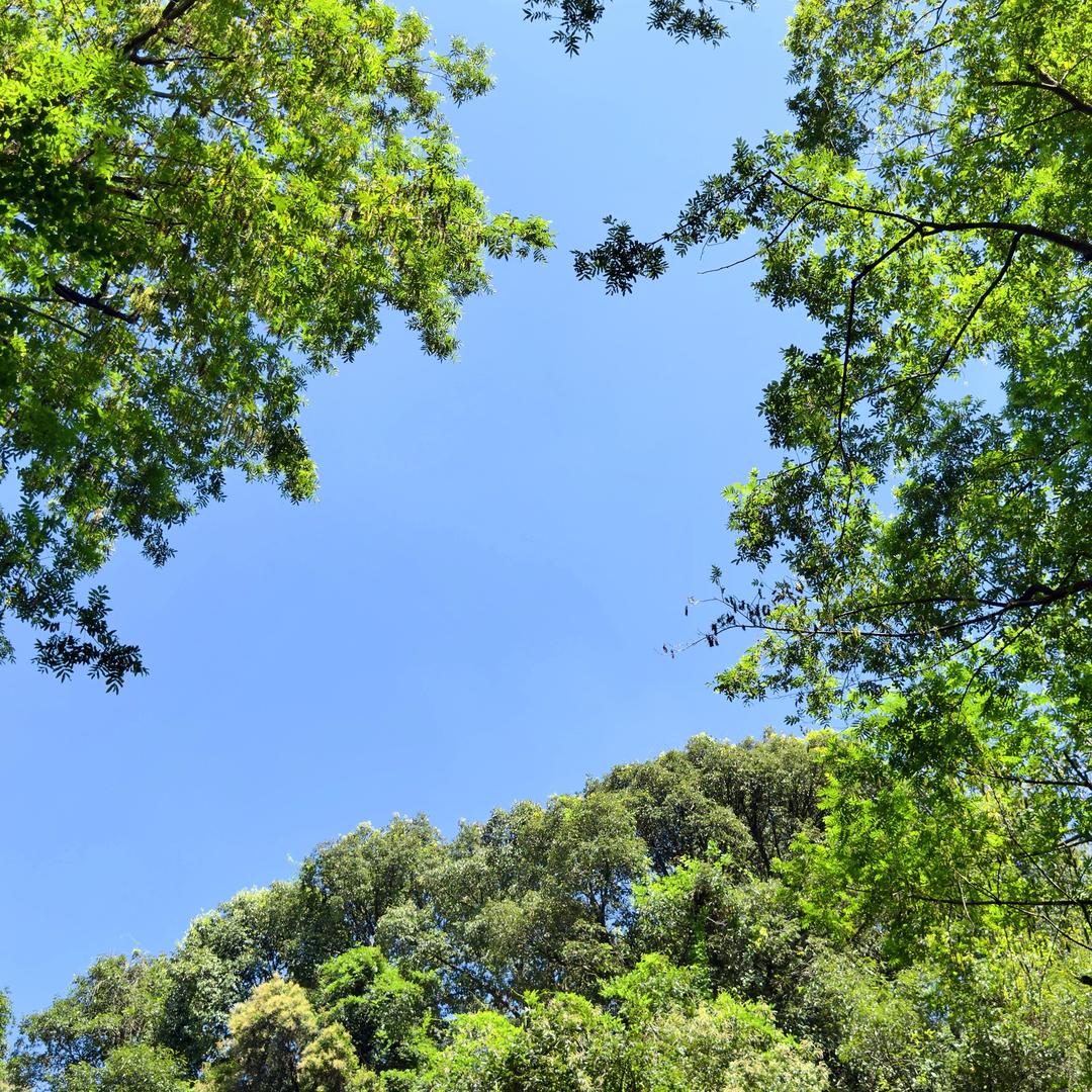 谁也不知道我是谁