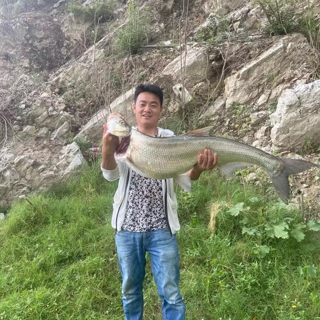 李老三煎锅肥肠鱼