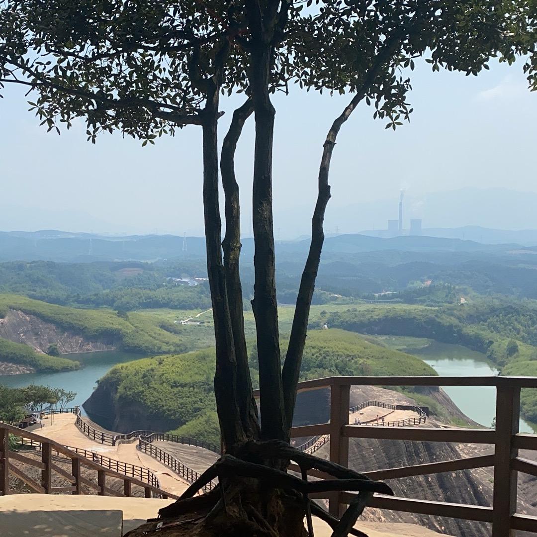 从头来过，那就拼