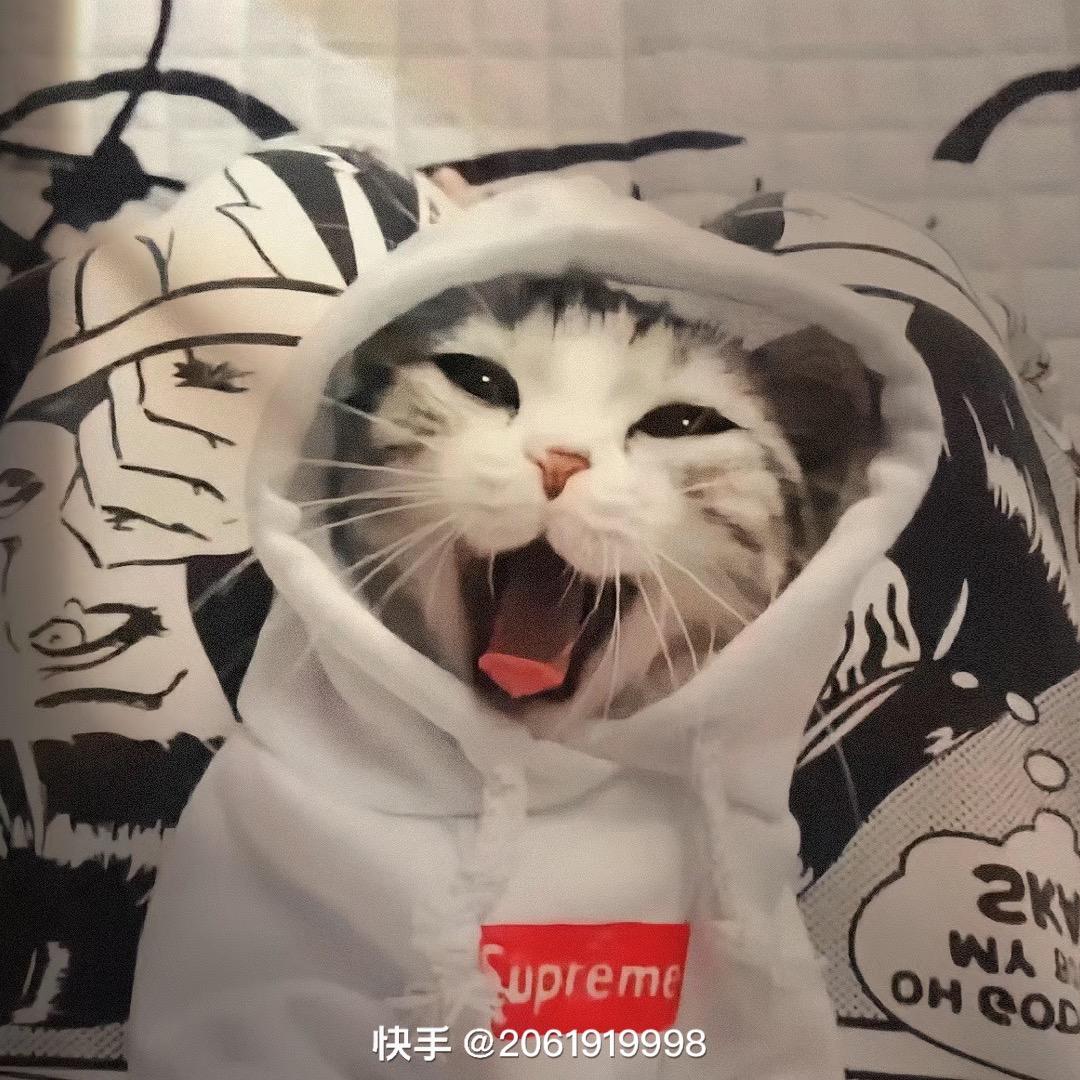 睡不醒的鱼