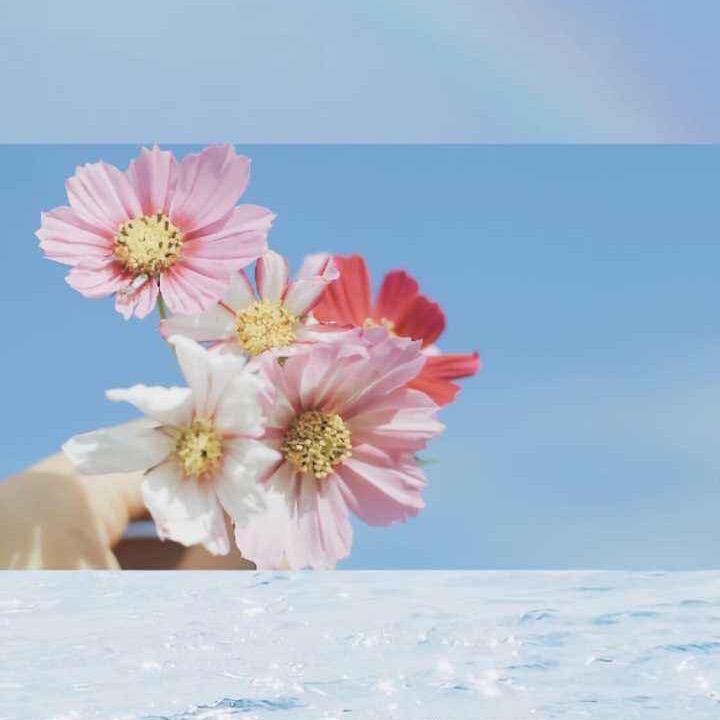 交投逸晴湾曾凡妮