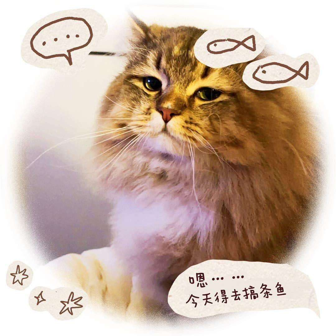 允禾