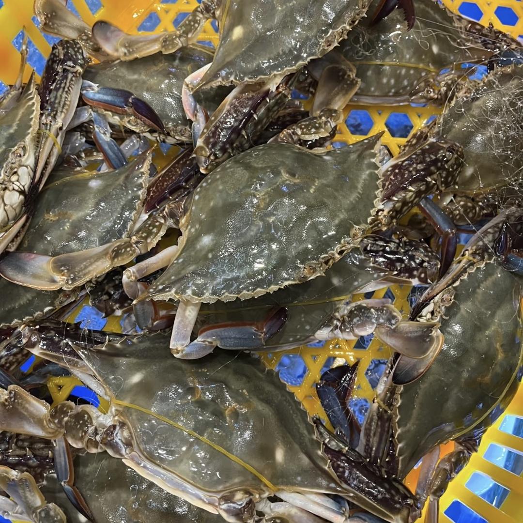 农瑞水产生鲜供应链农瑞