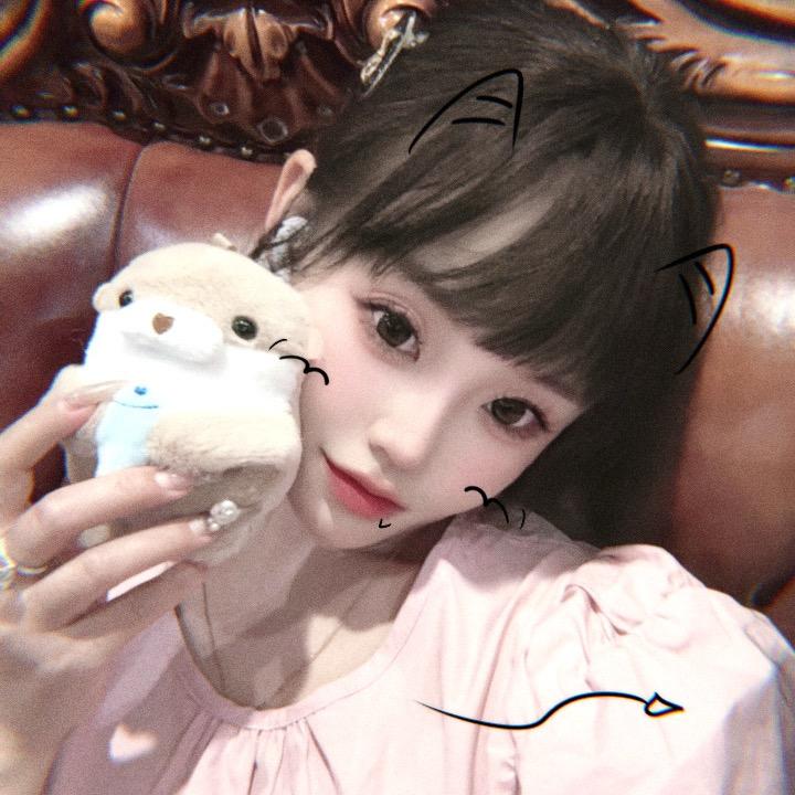 慧仔 🪽