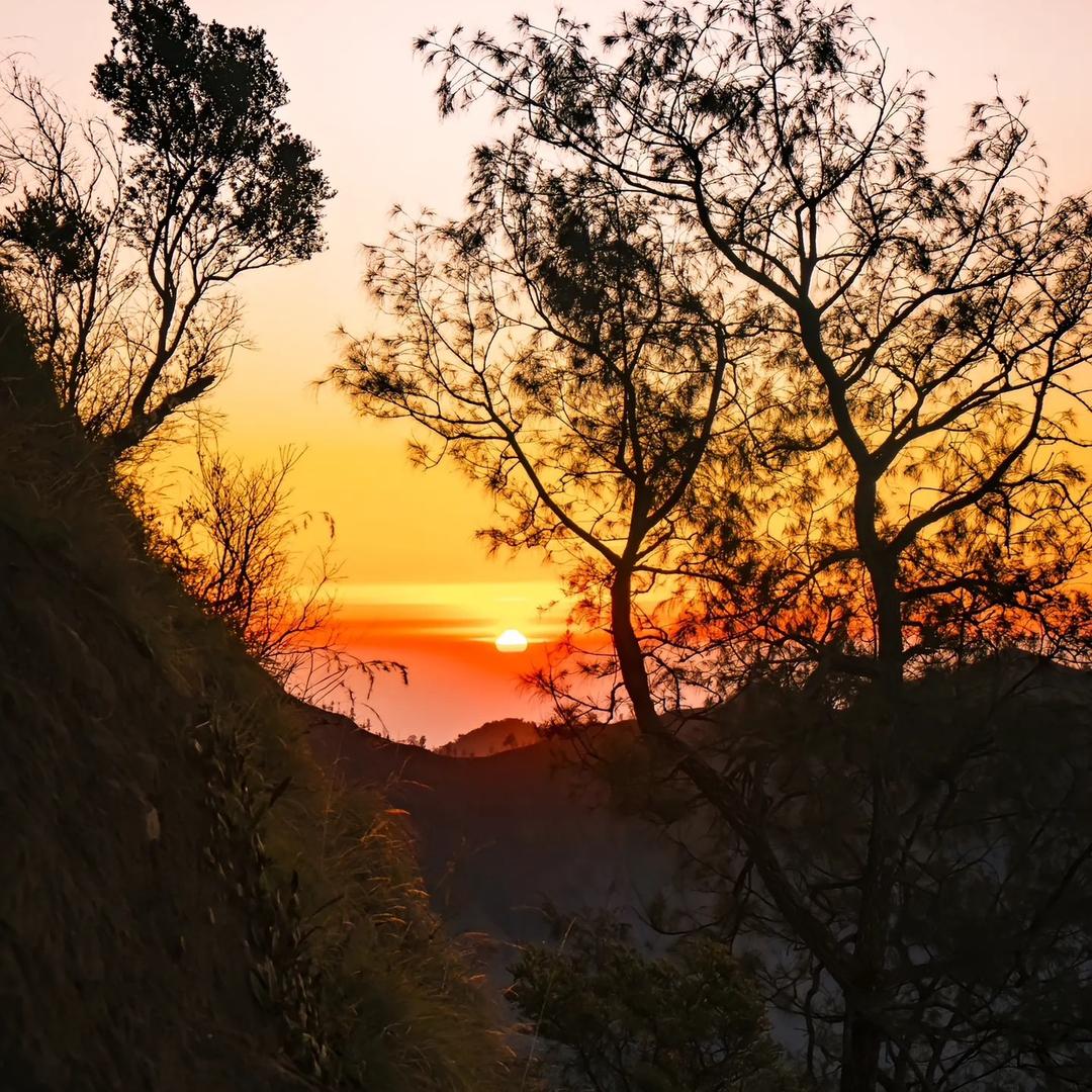 幸福快乐成长12