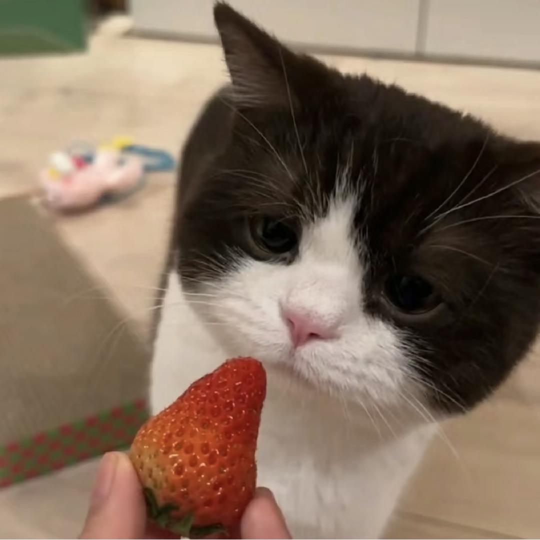 发条
