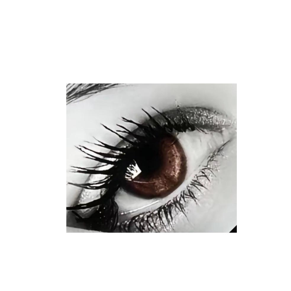 འཁོར་བའི་བརྙན་མིག