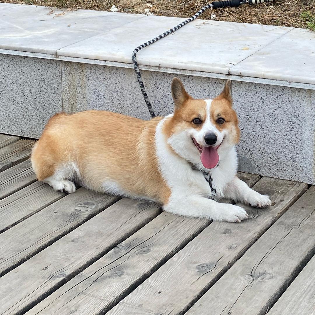 一二一二