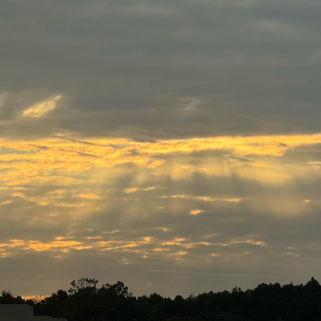 哑巴鲜生进口水果