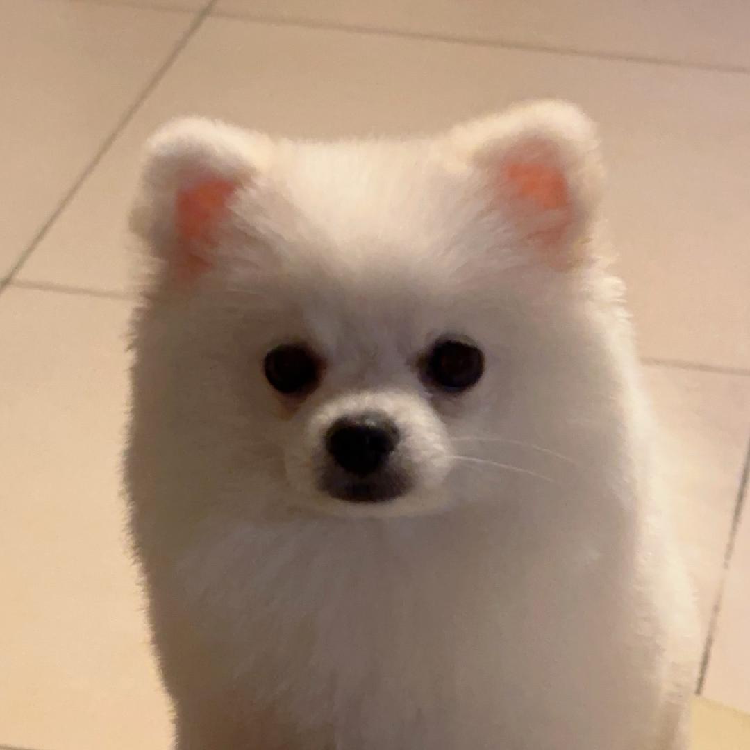 白白