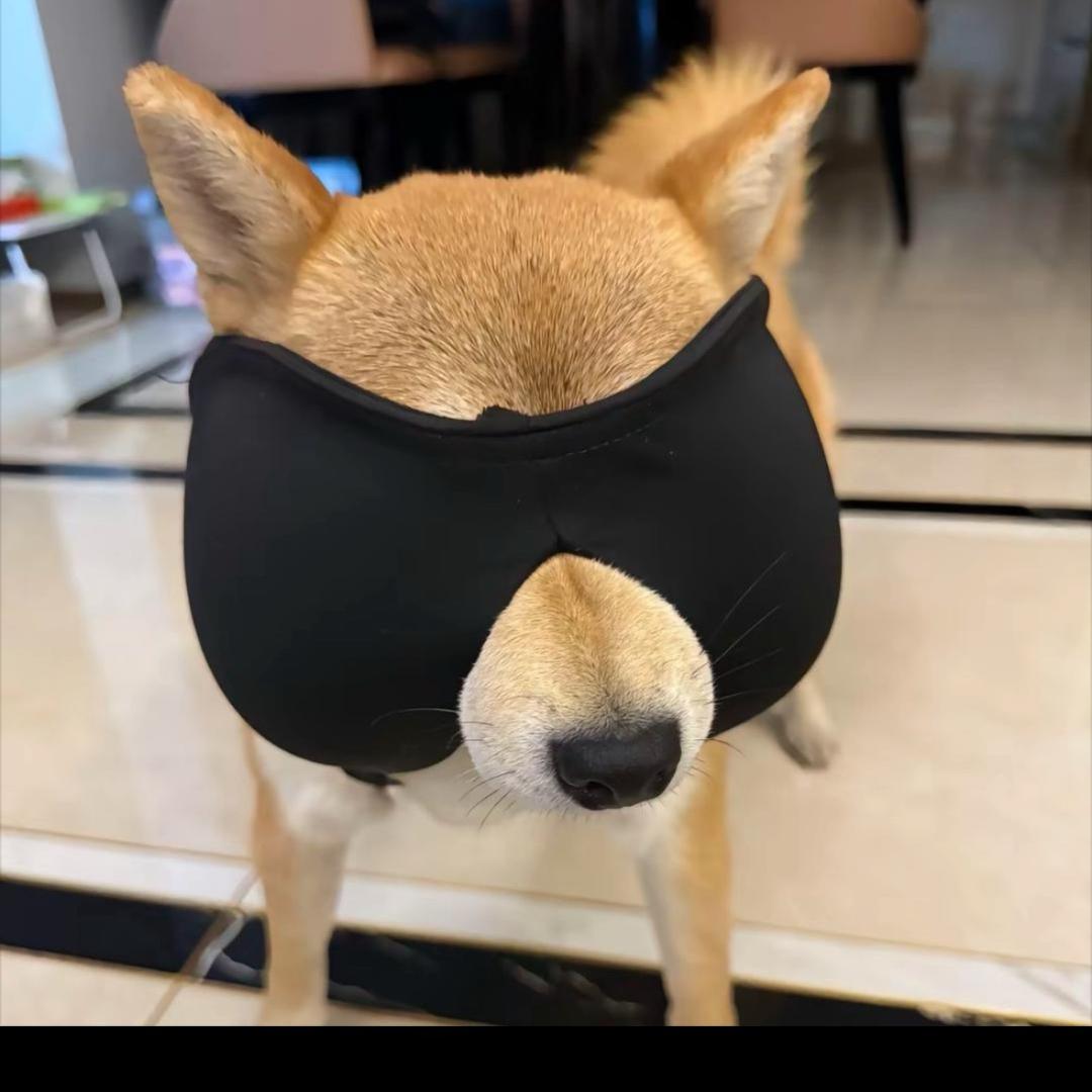 给我点时间