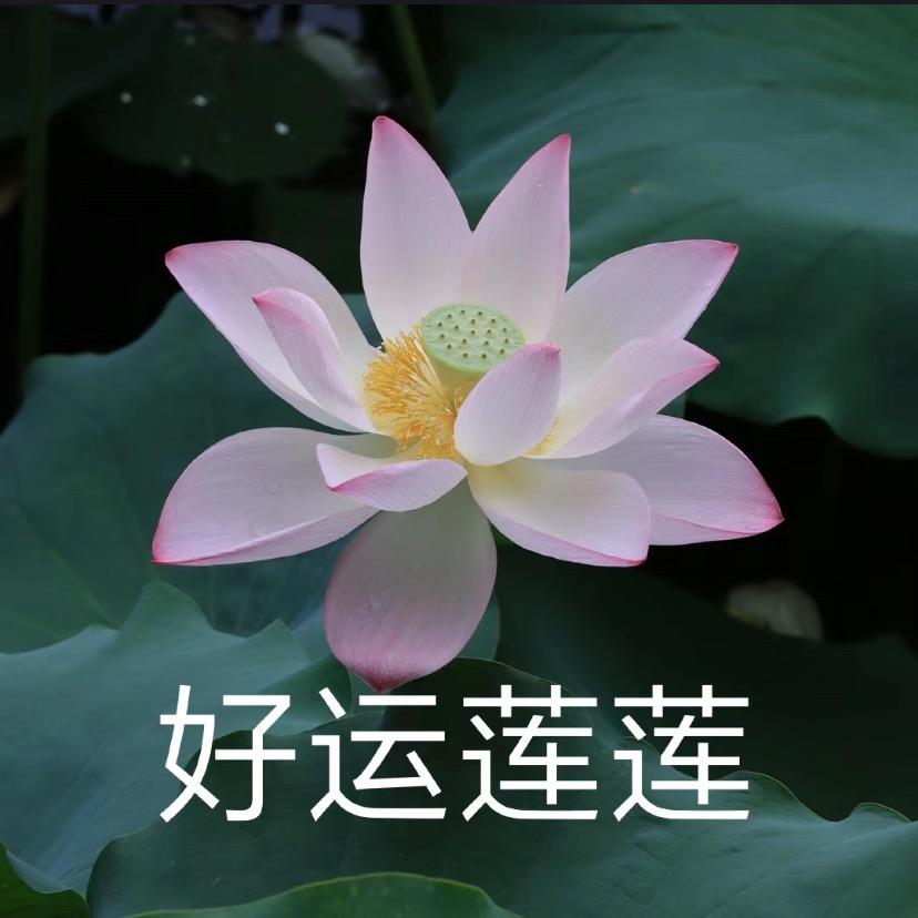 蓝莓🌸百货