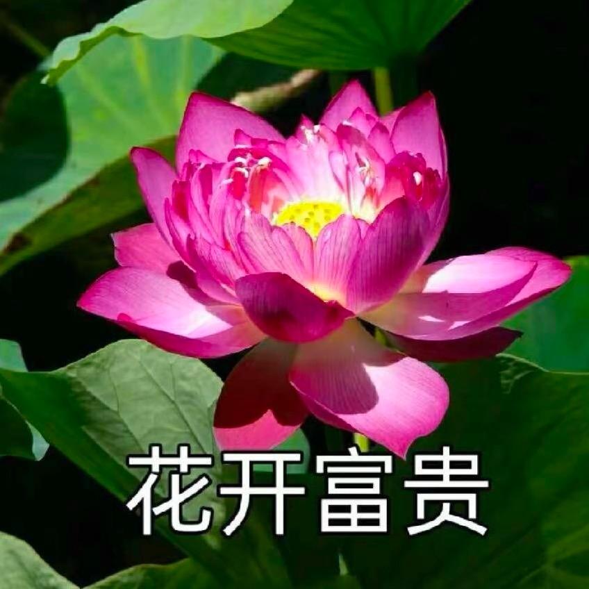 铭轩