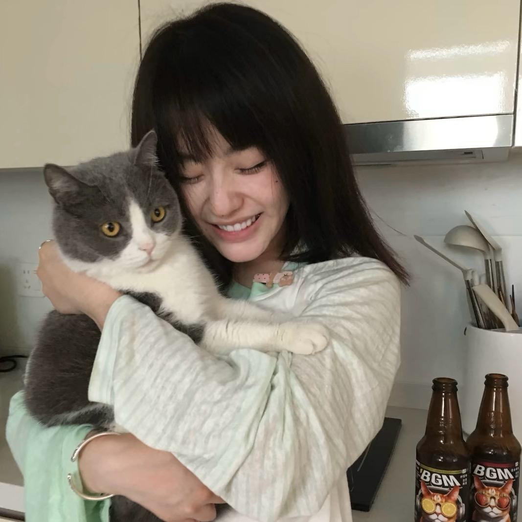 评论家在乌代浦采风