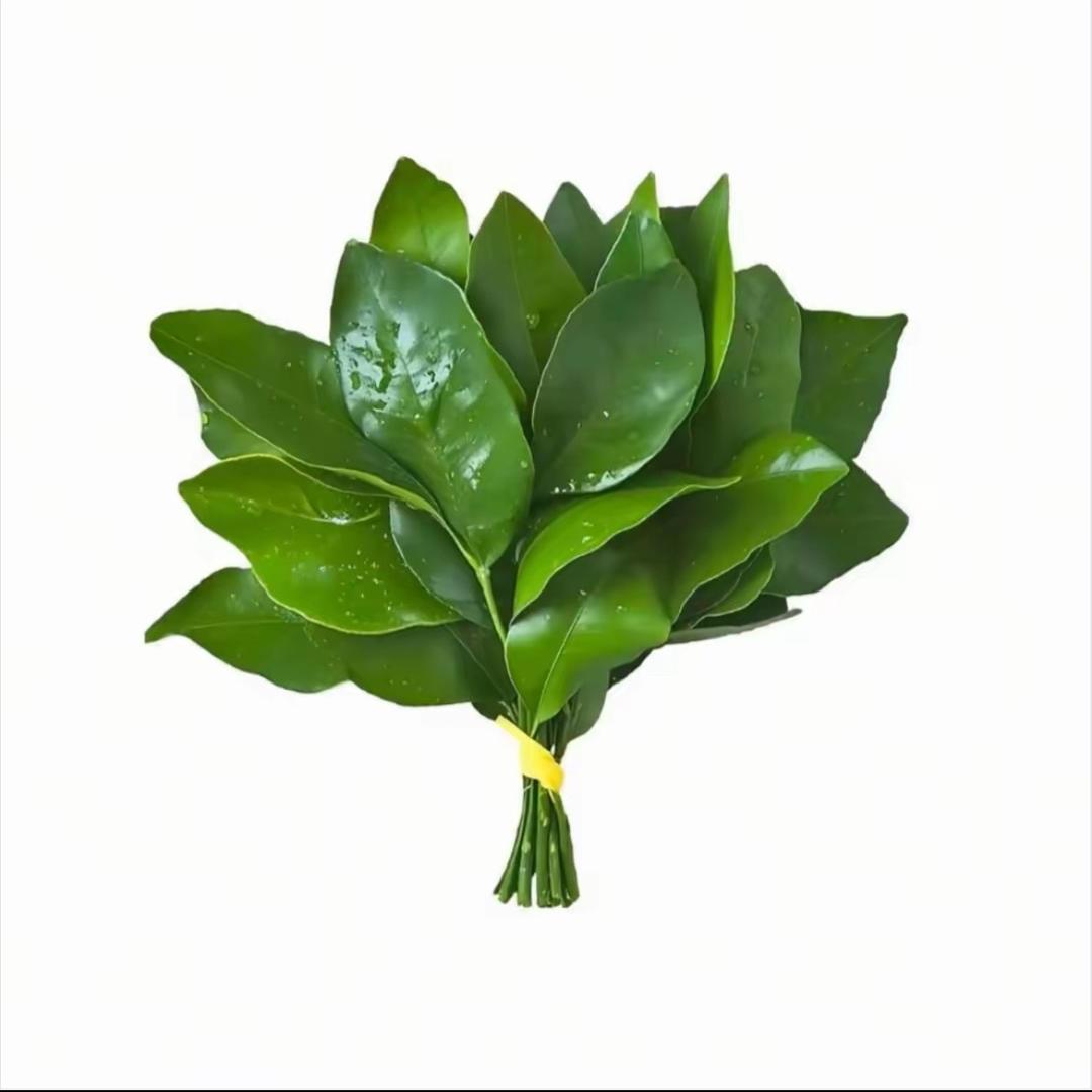 土豆
