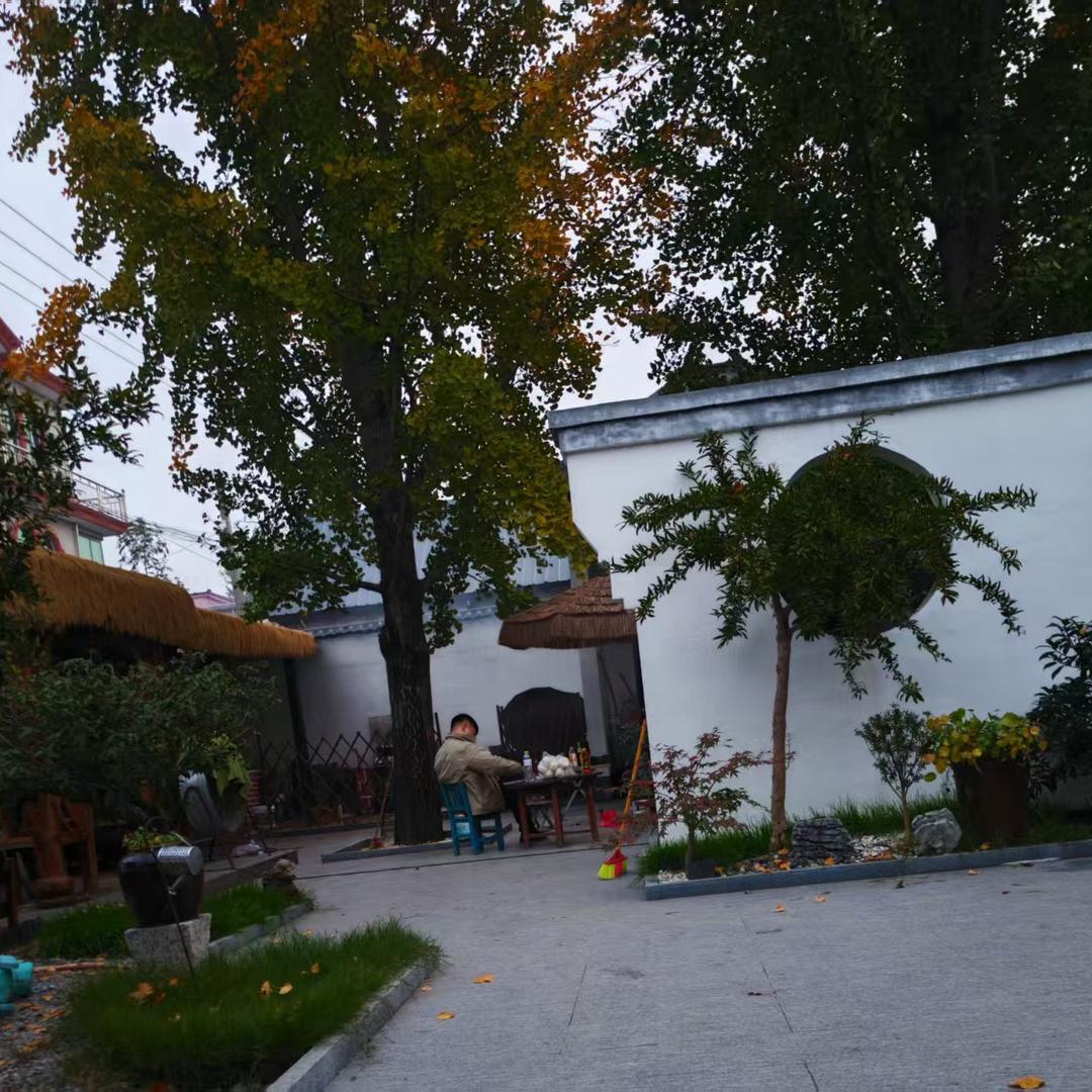 。。。。。。。