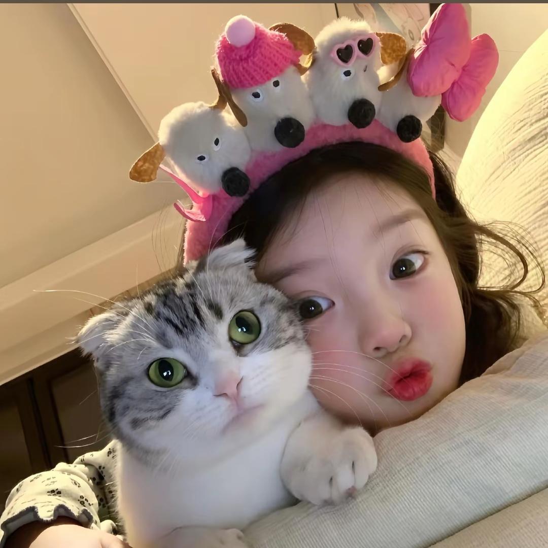古德猫