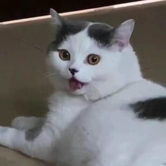 超级盘羊