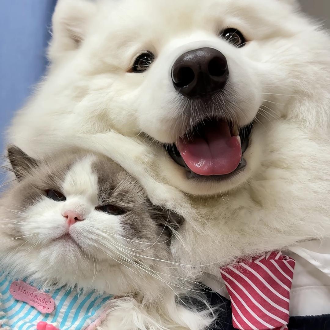 赵西西