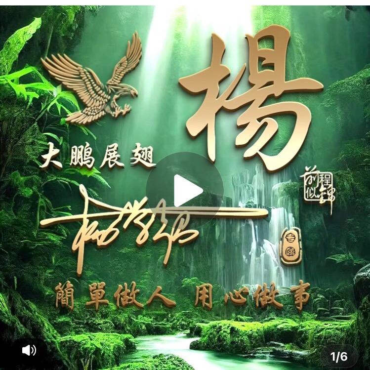 伪装者