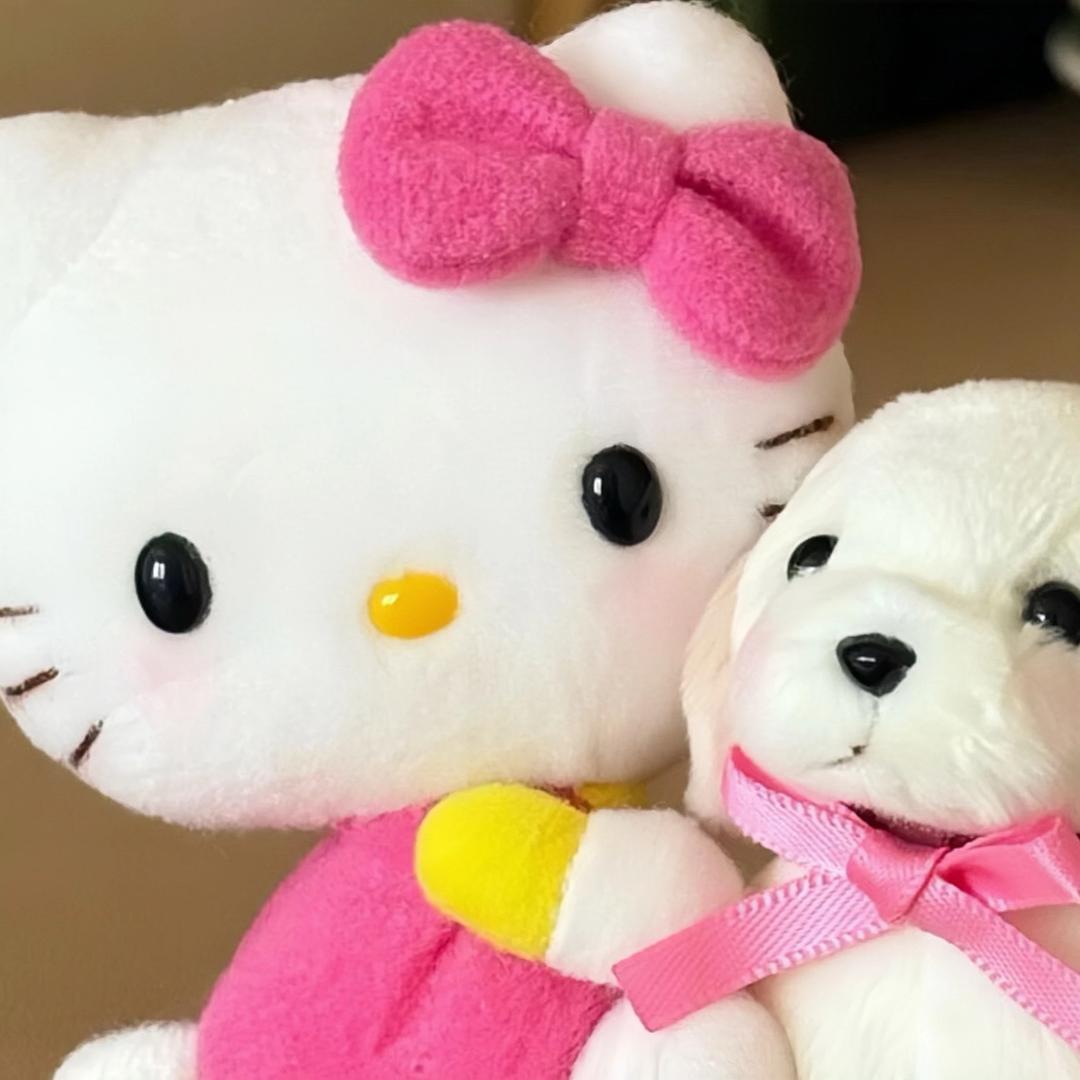 毛毛