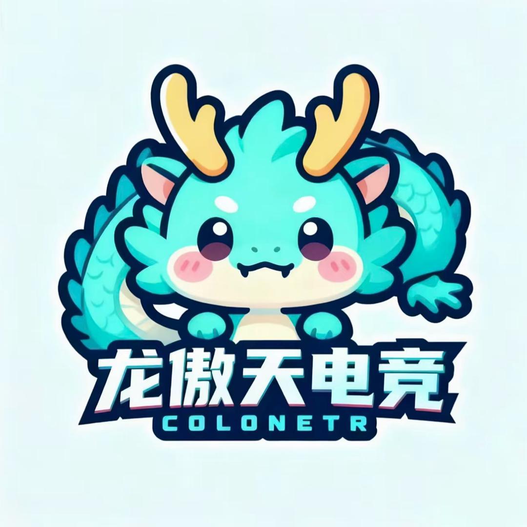 龙傲天电竞（终极角逐教陪）