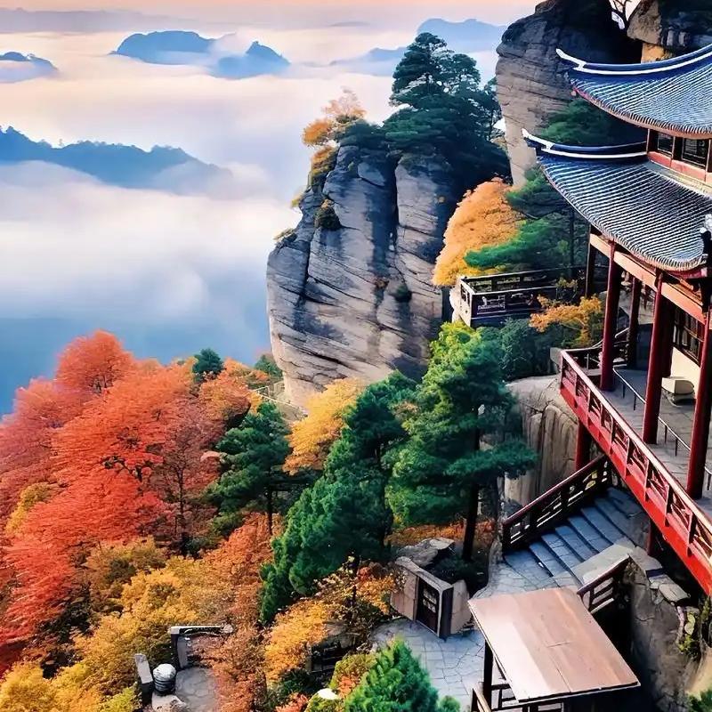 鲸霸电子商务
