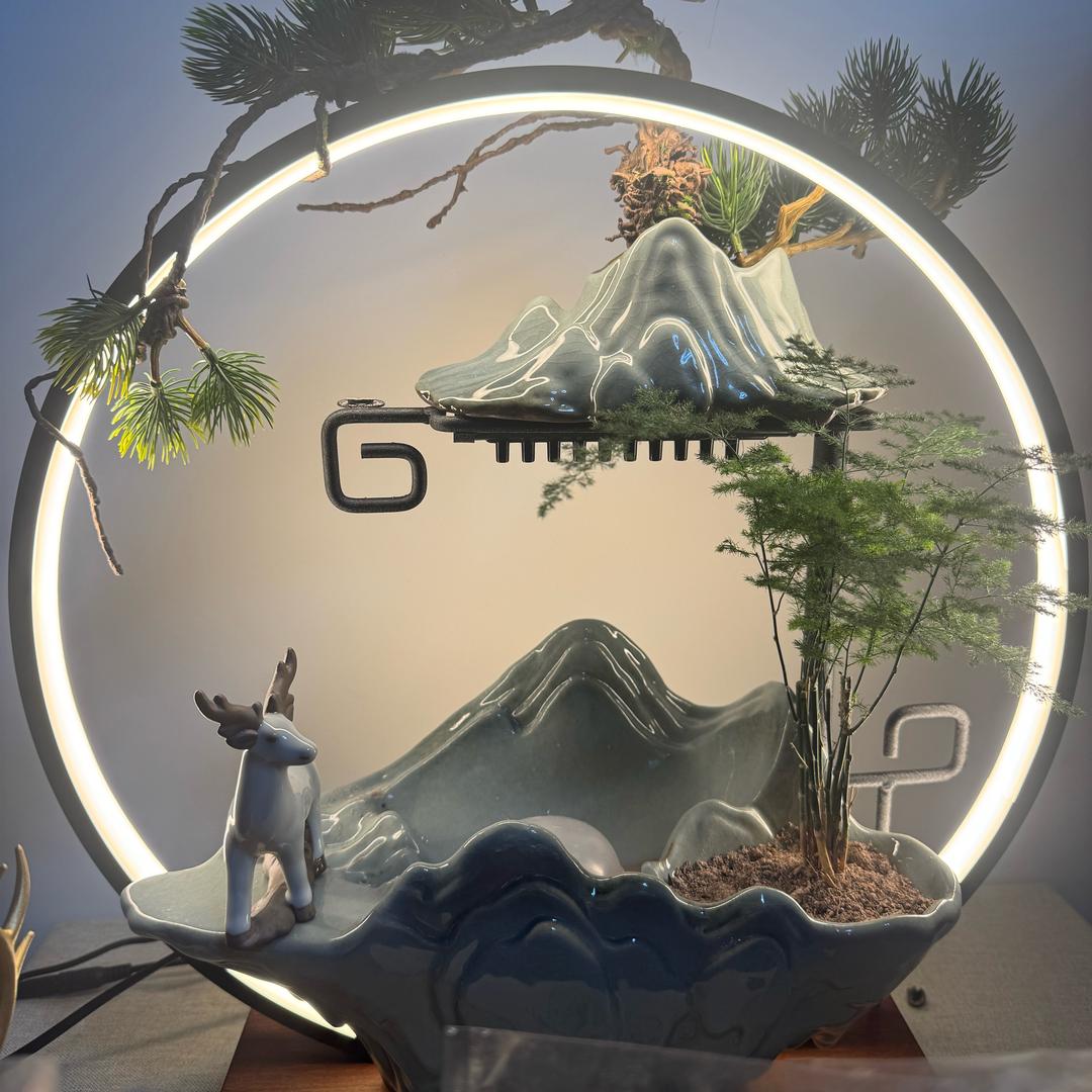 双参宝宝可人店