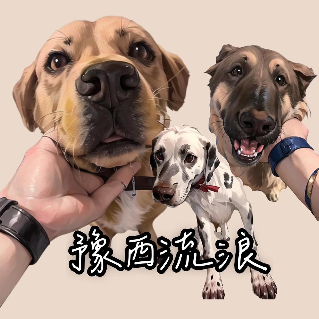 ♥️豫西流浪小家♥️