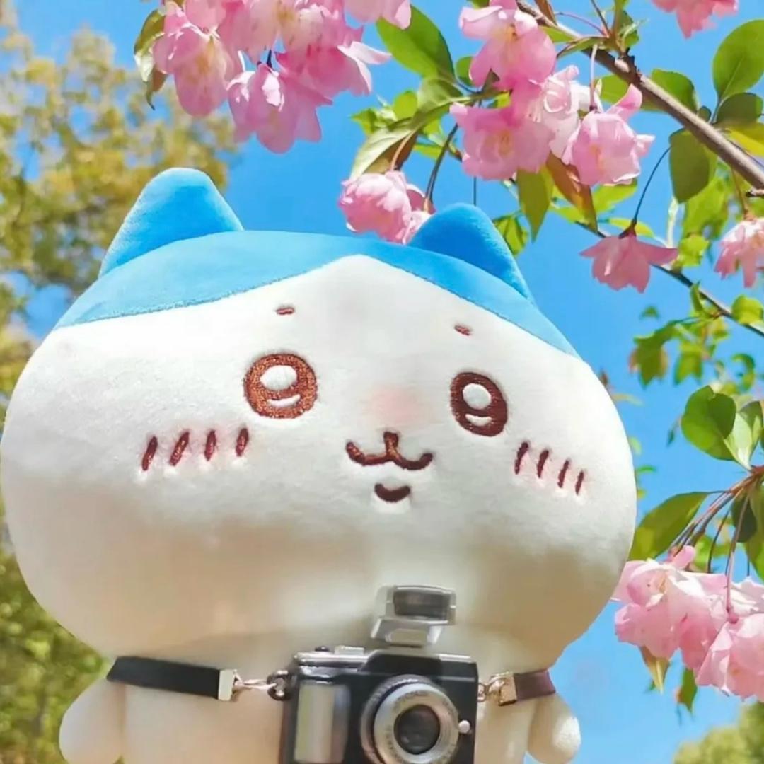 爱吃山茶花