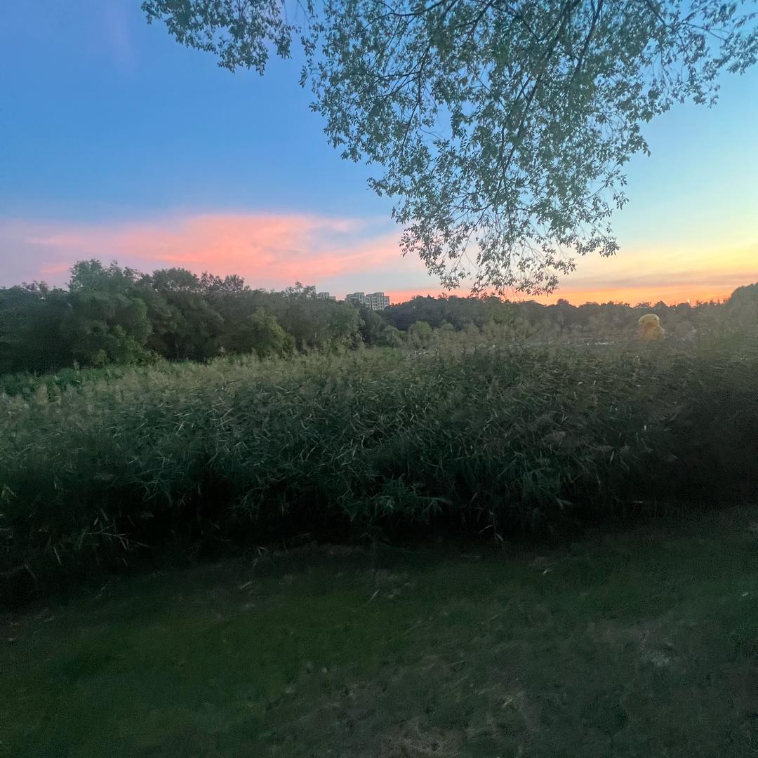 家有三宝🧍‍♀️🧍‍♀️🧍‍♂️