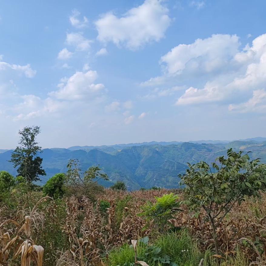 怎么就火不起来