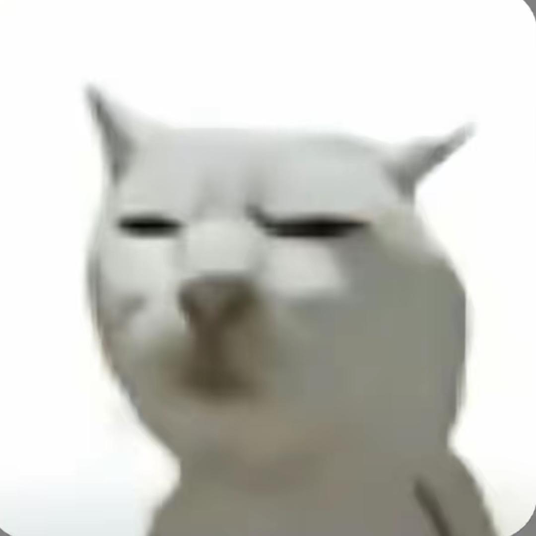 霹雳腿旋转后空翻大母猫