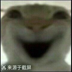 崽崽