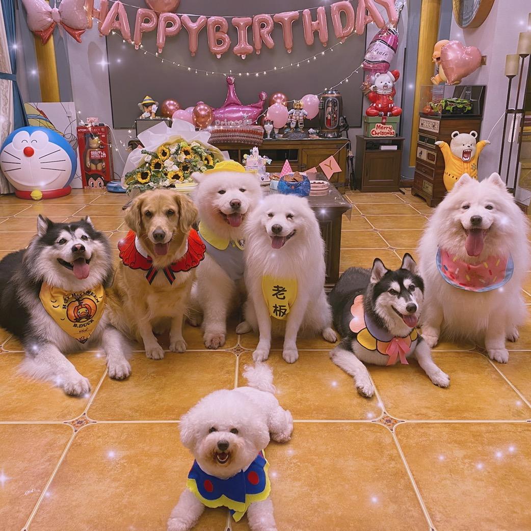 无敌的小宝哥@抖音