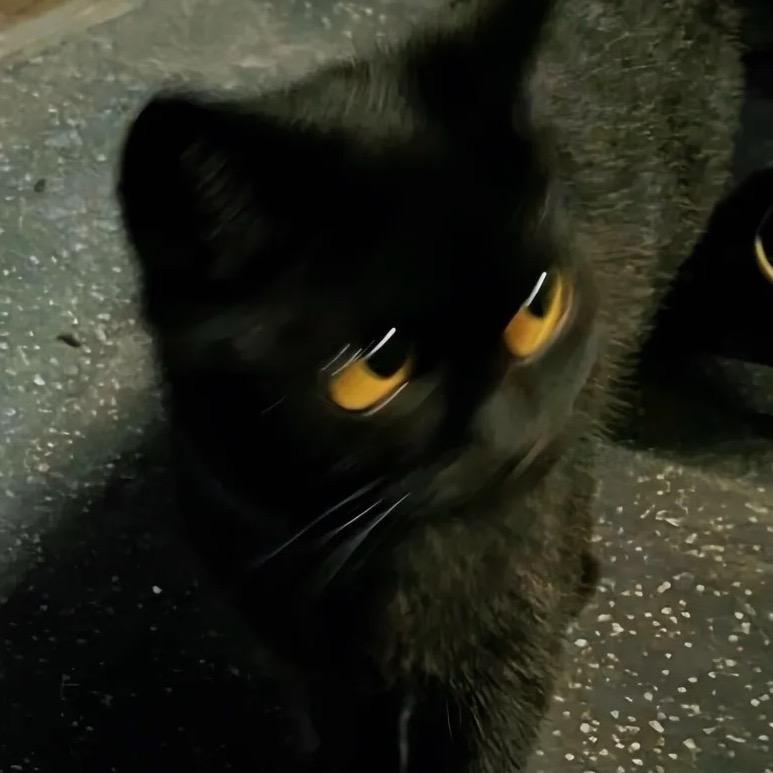 雄狮