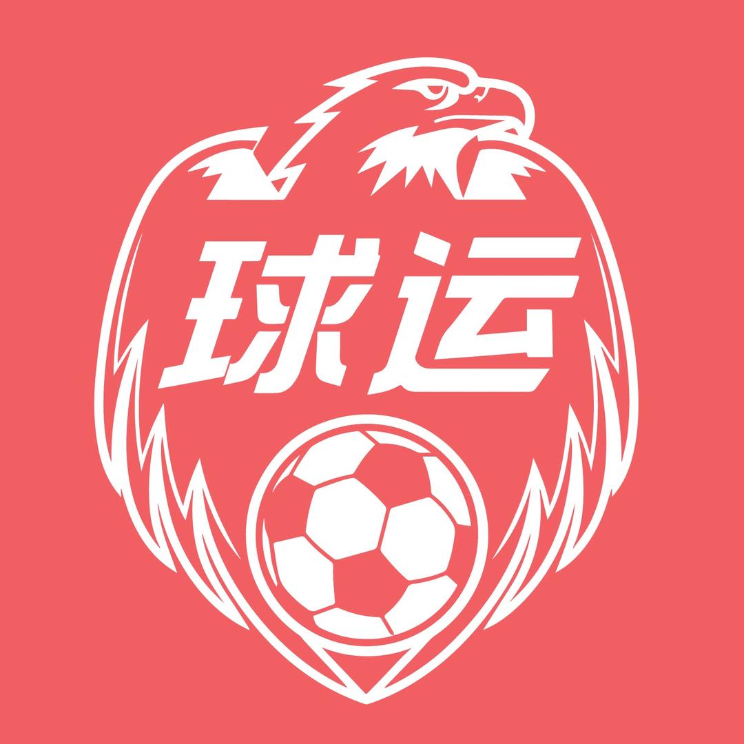 球运智体